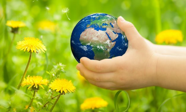 ISPRA, presentato il nuovo rapporto “Transizione ecologica aperta. Dove va l’ambiente italiano?” dedicato ai non specialisti