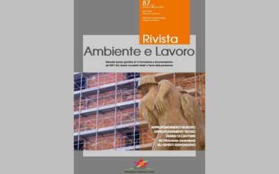 Rivista Ambiente e Lavoro n. 87/2025