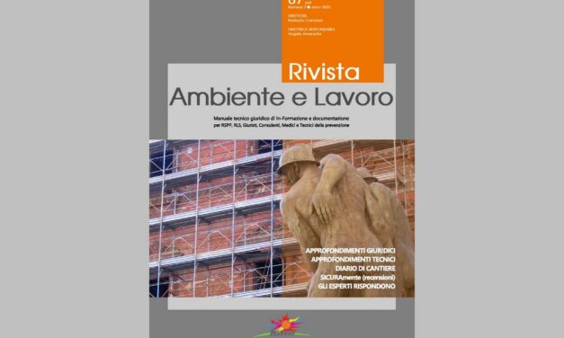 Rivista Ambiente e Lavoro n. 87/2025