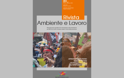 Rivista Ambiente e Lavoro n. 89/2025