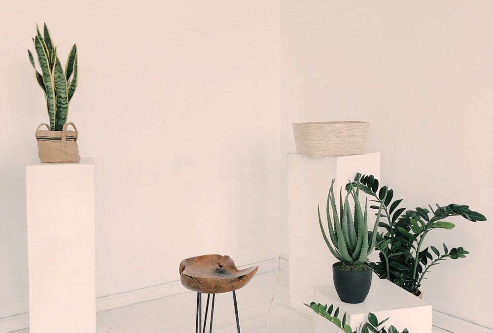 Beautiful Flower Decoration